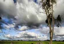 中国网球巡回赛将于11月首度落户香港中国新闻网.